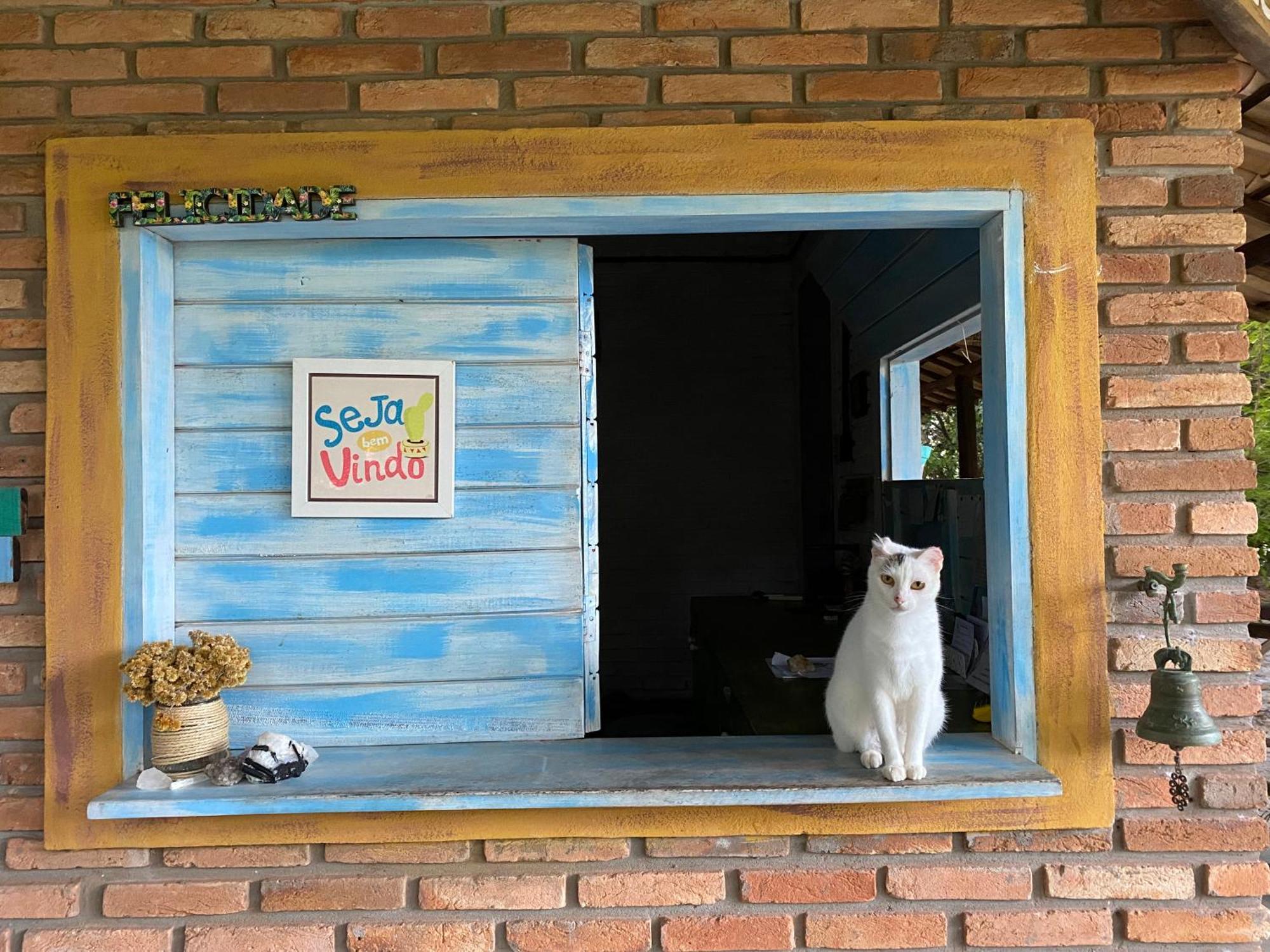 Hotel Refugio Do Corsario-Imbassai-Ba Exteriér fotografie